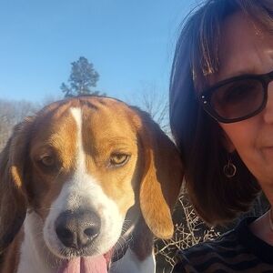 Meet your Posher, Carol